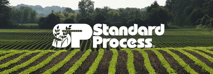 Standard Process crops growing in neat rows at the farm